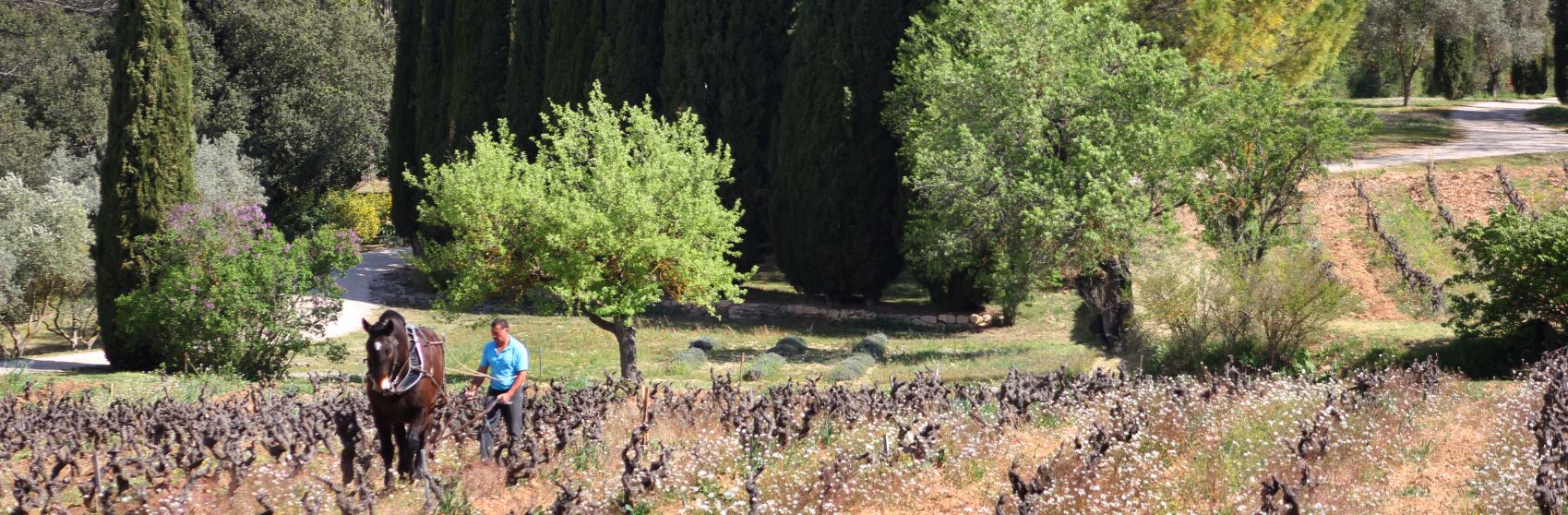 Slide #1 copy copy Slide background