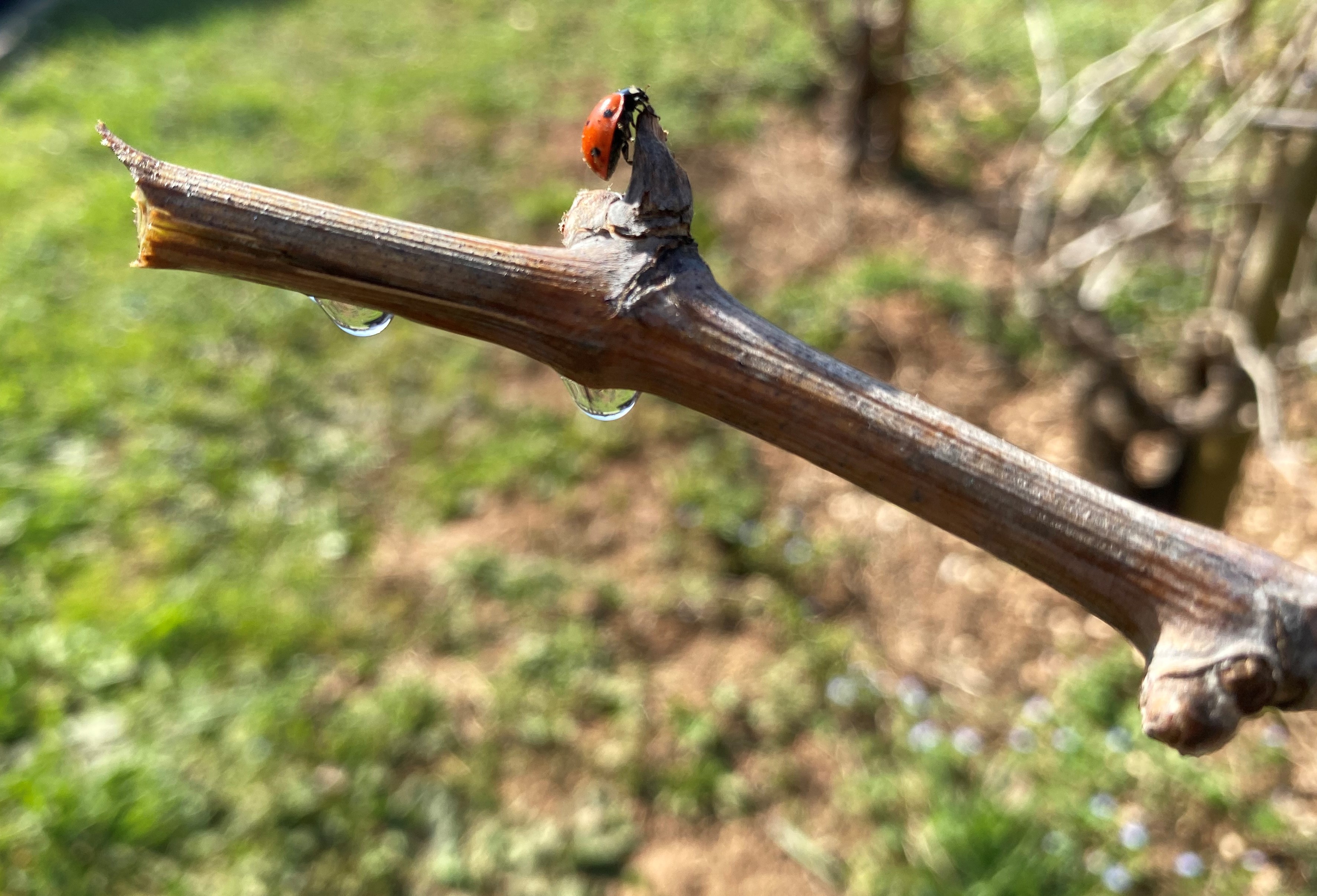 Slide #1 copy copy copy copy Slide background